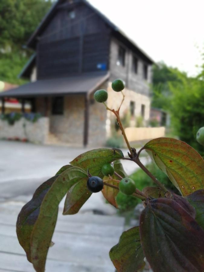 House Marijan Διαμέρισμα Korana Εξωτερικό φωτογραφία